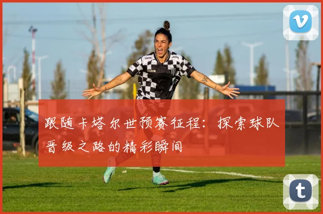 跟随卡塔尔世预赛征程：探索球队晋级之路的精彩瞬间